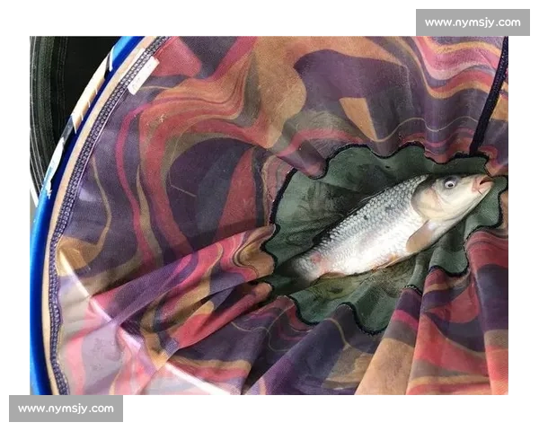 泰隆杯钓鱼比赛精彩回顾与赛事亮点分析